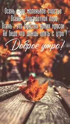Пин от пользователя марина на доске Открытки \"Доброе утро\" в 2023 г | Доброе  утро, Октябрь, Осень