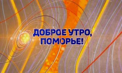 https://zp-news.ru/society/2024/01/05/267123.html
