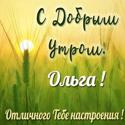 Это мой город: ведущая программы «Доброе утро» на Первом канале Ольга  Ушакова - Москвич Mag