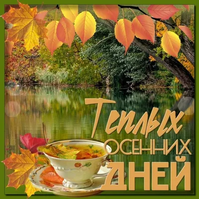 🍁 ⛅ ☕ Картинки С добрым осенним утром - скачать (240 шт.)