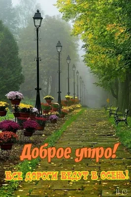 Доброе утро пейзажи картинки фотографии