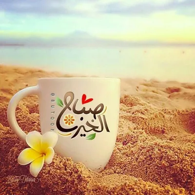 صباح الخير! Доброе утро! ☕️🍫🍰 #арабскийязык #арабы #арабскаякультур... |  TikTok