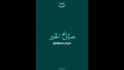 Картинка добрый вечер на арабском языке (40 фото) » Юмор, позитив и много  смешных картинок