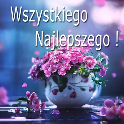 Polish Good Morning Everyday для Android — Скачать