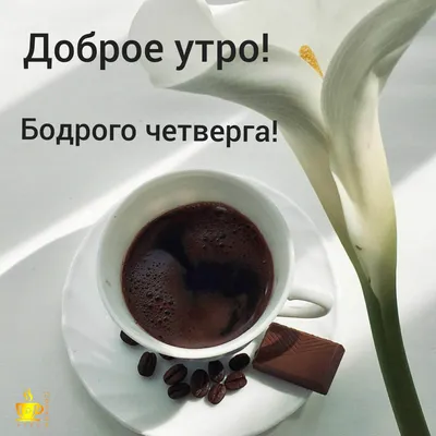 Доброе утро Алина Дубинина Уведу mp4 - YouTube