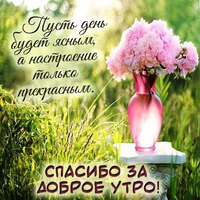 Доброе утро, Подружка моя! #подруге #дляподруги #длявас❤❤ #👋🤗😘💃⚘️... |  TikTok