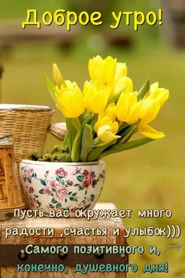 Pin by Наталья on Доброе утро | Good morning flowers, Wednesday morning  greetings, Good morning