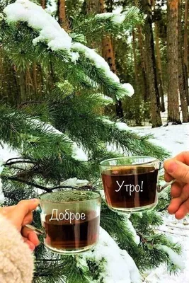 🌺☕️Ух, ты, опять понедельник! Доброе утро понедельника! Удачной недели!  Утренний позитив для друзей! - YouTube