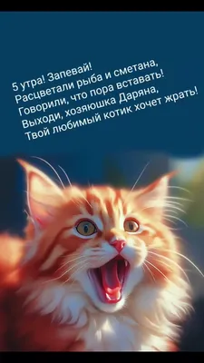 Доброе утро пора вставать картинки 74 фото