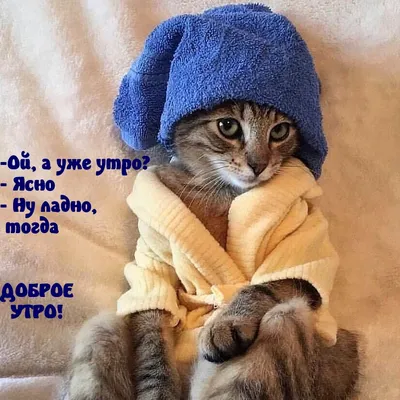 https://news.hochu.ua/cat-relax/pozitiv/article-128738-dobrogo-mirnogo-utra-pozitivnyie-kartinki-dlya-horoshego-nastroeniya/