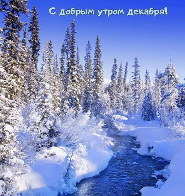 Картинка: Доброе зимнее утро! Пусть оно будет прекрасным!