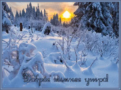 Открытки с добрым утром красивые природа зима - 66 фото