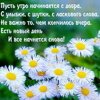 С ДОБРЫМ УТРОМ, ДОРОГИЕ МОИ!!! Пусть... - Вдохновение ДУШИ | Facebook