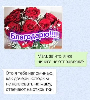 💞Я хочу ещё глубже проникнуться в историю жизни моих предков, жизнь  которых частично, а у кого-то и всю жизнь связана.. | ВКонтакте