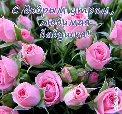 Букет роз с добрым утром картинки красивые - 69 фото
