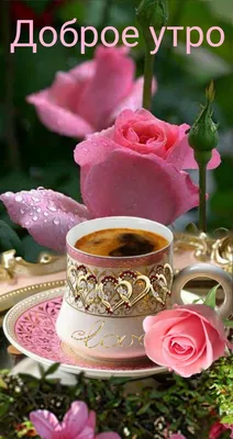 Создать мем \"доброе утро букет роз, цветок розы, от всей души доброе утро  здоровья и сил\" - Картинки - Meme-arsenal.com