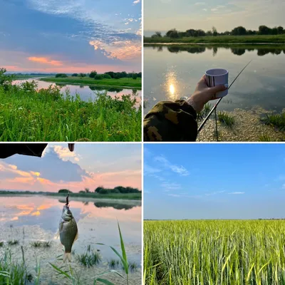 Ловим тут. Рыбалка - Доброе утро, рыбаки 🎣 | Facebook