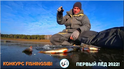 Доброе утро, дорогие наши рыбаки и просто любители свежей рыбки😊🐟 | Пермь