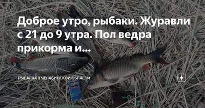 Неопытные рыбаки в 4 утра пошли ловить рыбу с лодки и в итоге просто  любовались природой | Поселковый осведомитель | Дзен