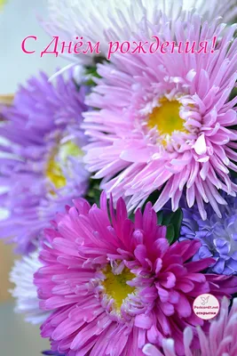 Идеи на тему «Доброе утро» (15) | доброе утро, красивые цветы, фиолетовые  цветочные композиции