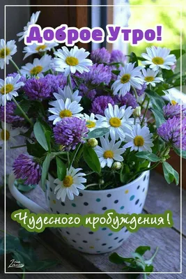 С добрым прекрасным утром!🌺🌺🌺 | С добрым утром! | ВКонтакте