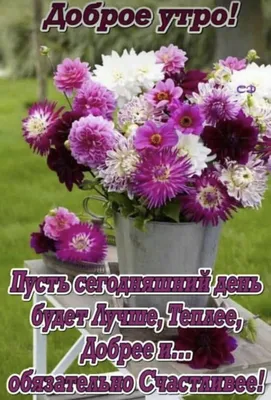 Создать мем \"с добрым утром, красивые цветы хризантемы, доброе утро иришка  красивые цветы\" - Картинки - Meme-arsenal.com
