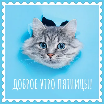 Купить Чехол с кошками доброе/недоброе утро 85х35 см - Gobelenka.ru