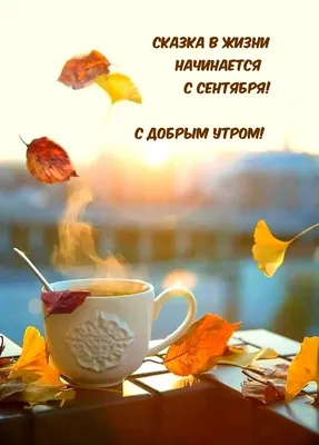 Мудрость жизни - С Добрым и Прекрасным Утром сентября, Друзья! Пусть Новый  день будет наполнен улыбками и счастьем! Просыпайтесь! Миру и людям  Улыбайтесь! | Facebook