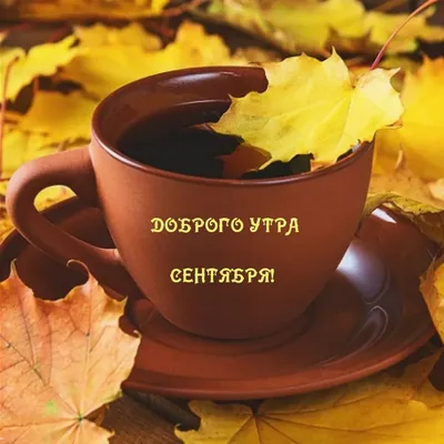 Доброе утро, дорогие друзья!😊 Сегодня суббота 17 сентября. Для Вас  работают: ✓Мастера.. | ВКонтакте
