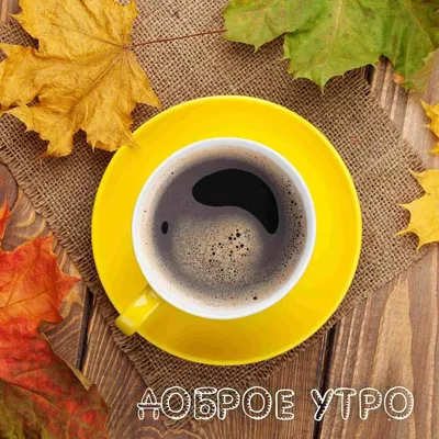 С Добрым Утром! 5 сентября. #открыткасдобрымутром #сдобрымутром #сдобр... |  TikTok