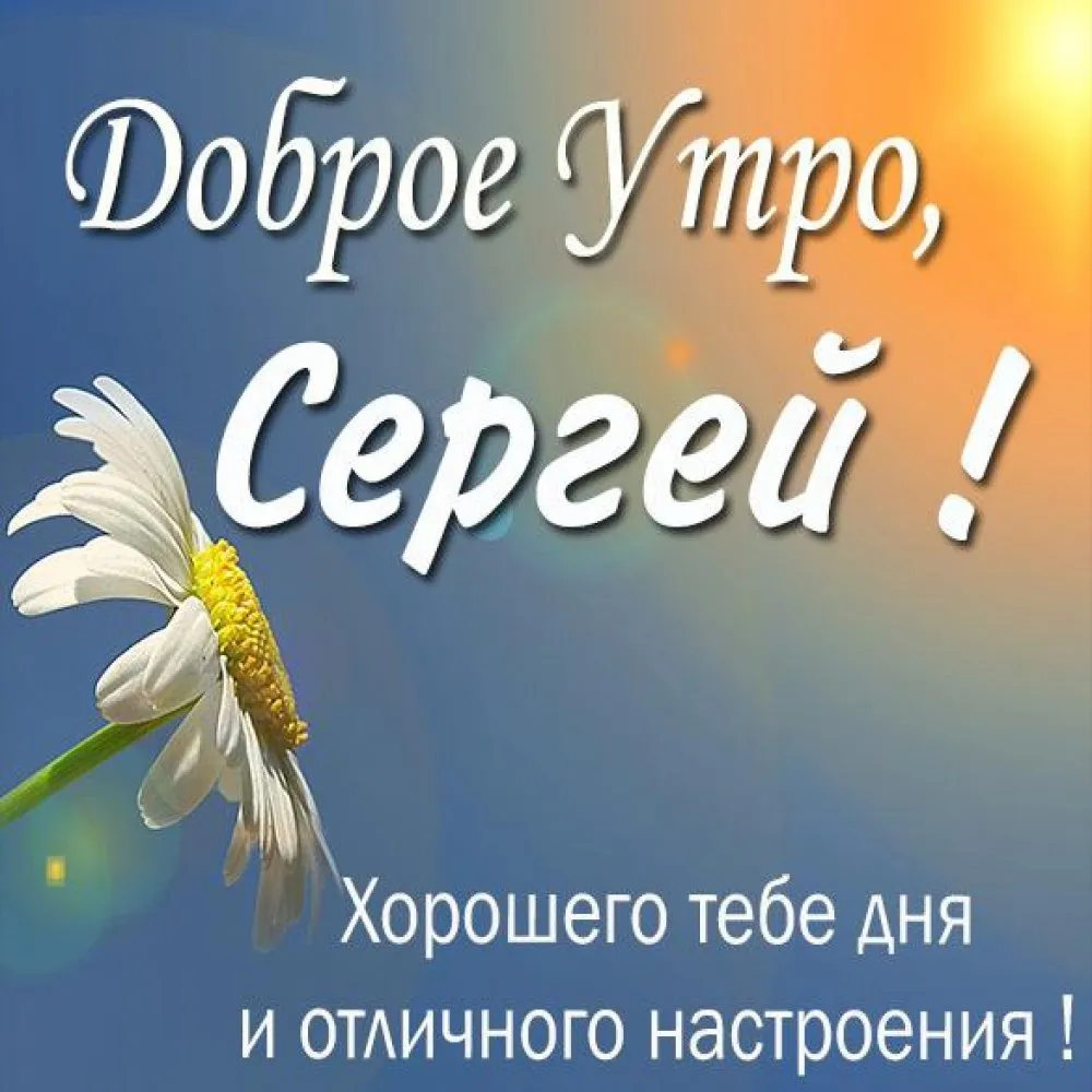 Чашка для чая \"Кружка с принтом Доброе утро Сергей!\", 330 мл, 1 шт - купить  по доступным ценам в интернет-магазине OZON (673318444)