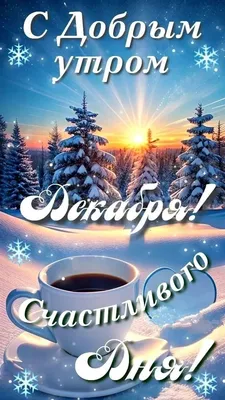 Книга \"Доброе утро, Страны! 100 и 1 рецепт для вкусных завтраков\" - Магазин  - Комсомольская правда