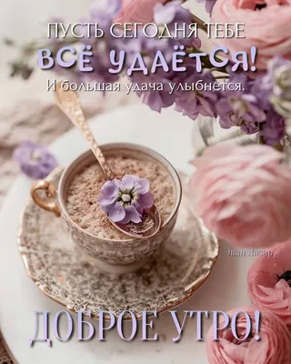 Красивые картинки: \"Доброе Утро!\" (1116 шт.)