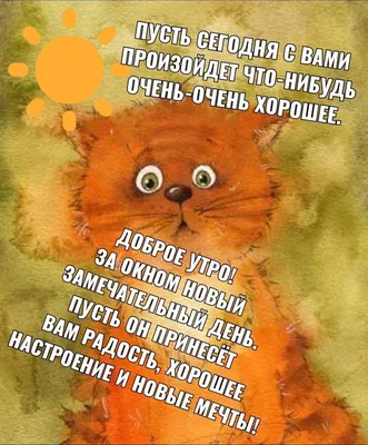 Пин от пользователя Наталия Николаева на доске Доброе утро.Юмор. |  Счастливые картинки, Доброе утро, Смешные высказывания детей