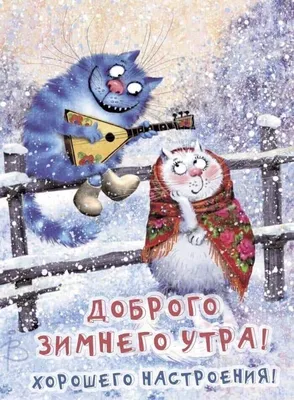 ПотрясающийвкусМилкис #доброеутро #юмор #шутки | TikTok