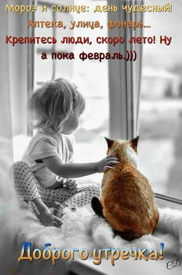 Юмор online - Доброе утро! Хорошего настроения! 😀 | Facebook