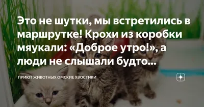 Olgа🌺🌿 on X: \"Пусть утро начинается с добра, С улыбки, с шутки, с  ласкового слова, Неважно то, чем кончилось вчера, Есть новый день - и всё  начнется снова! Доброе утро Всем! ☕🍰☀️❄️🌿🌹