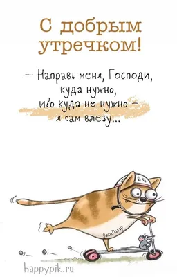 Это не шутки, мы встретились в маршрутке! Крохи из коробки мяукали: «Доброе  утро!», а люди не слышали будто… | Приют животных Омские Хвостики | Дзен