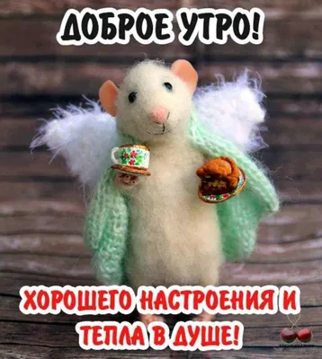 Девушка хотела чтобы оплатил ком.услуги Ну, не мог не под...ть, утро не  должно быть скучным | Пикабу