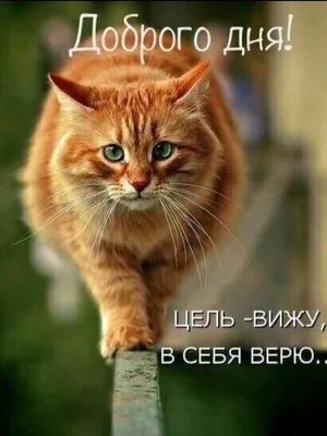 Прикольные картинки \"Доброе утро\" 👍 😄 (304 шт.) | Забавные иллюстрации, Доброе  утро, Смешные рисунки