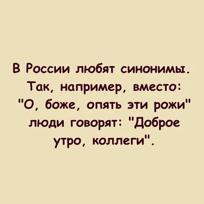 Пин от пользователя Василий Хряпа на доске Доброе утро | Смешные открытки,  Новогодние цитаты, Счастливые картинки