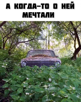Доброе утро | Смешные таблички, Смешные смайлики, Смешные открытки