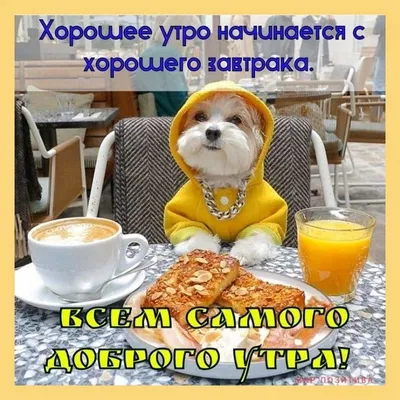 Доброе утро! Юмор и шутки про зиму Прикольное видео для настроения - YouTube