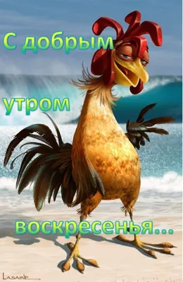 Прикольные картинки \"Доброго Утра!\", настройтесь на позитив! (407 шт.) |  Веселые картинки, Смешные детские картинки, Детский юмор
