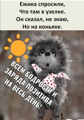 Доброе утро - картинки смешные