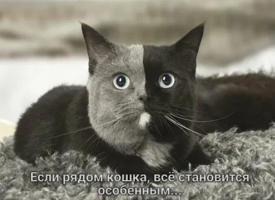 o.b.y.v.k.a_ua_ - 😘😘😘Доброе утро🥰🥰🥰 💐Всем хорошего дня и прекрасного  настроения) 😘 Сегодня прием заказов, для отправки день в день до 15.00  ❤️💝😍 | Facebook