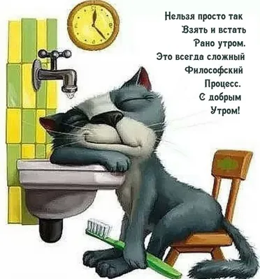 юмор#смешное#длянастроения##добрыйвечер#спокойнойночи#доброеутро#умныеслова# шутки#смешныевидео#мотивация#фото#деньрождения#поздравления | Instagram