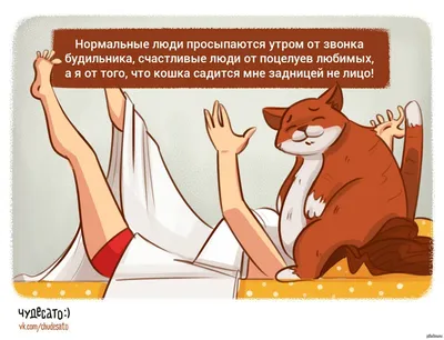 всем_добра_и_позитива #с добрым утром #спасибозадружбу | TikTok