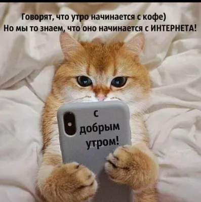 юмор#смешное#длянастроения##добрыйвечер#спокойнойночи#доброеутро#умныеслова# шутки#смешныевидео#мотивация#фото#деньрождения#поздравления | Instagram