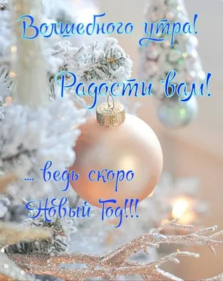 Pin by Ильмира Элли on ДОБРОЕ УТРО и СЧАСТЛИВОГО ДНЯ | Christmas bulbs,  Christmas ornaments, Christmas